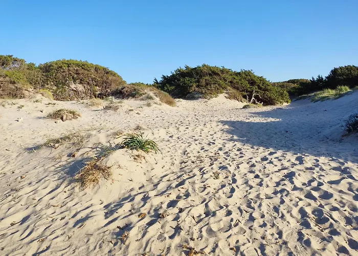 House 度假居 普拉塔莫纳