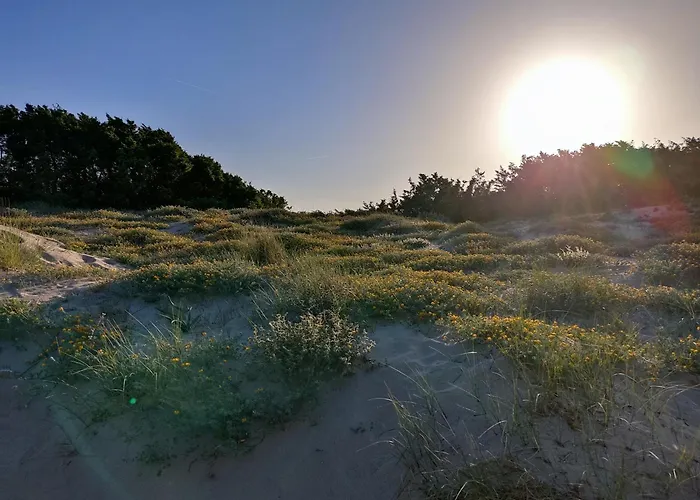 度假居 House 普拉塔莫纳