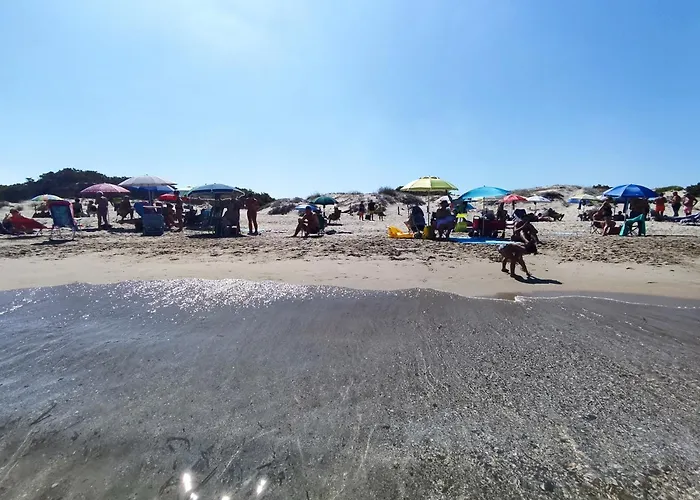 House 普拉塔莫纳