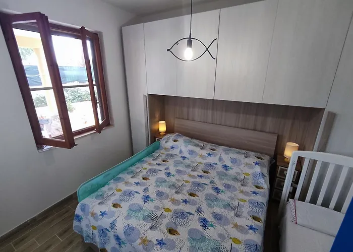 House * 普拉塔莫纳